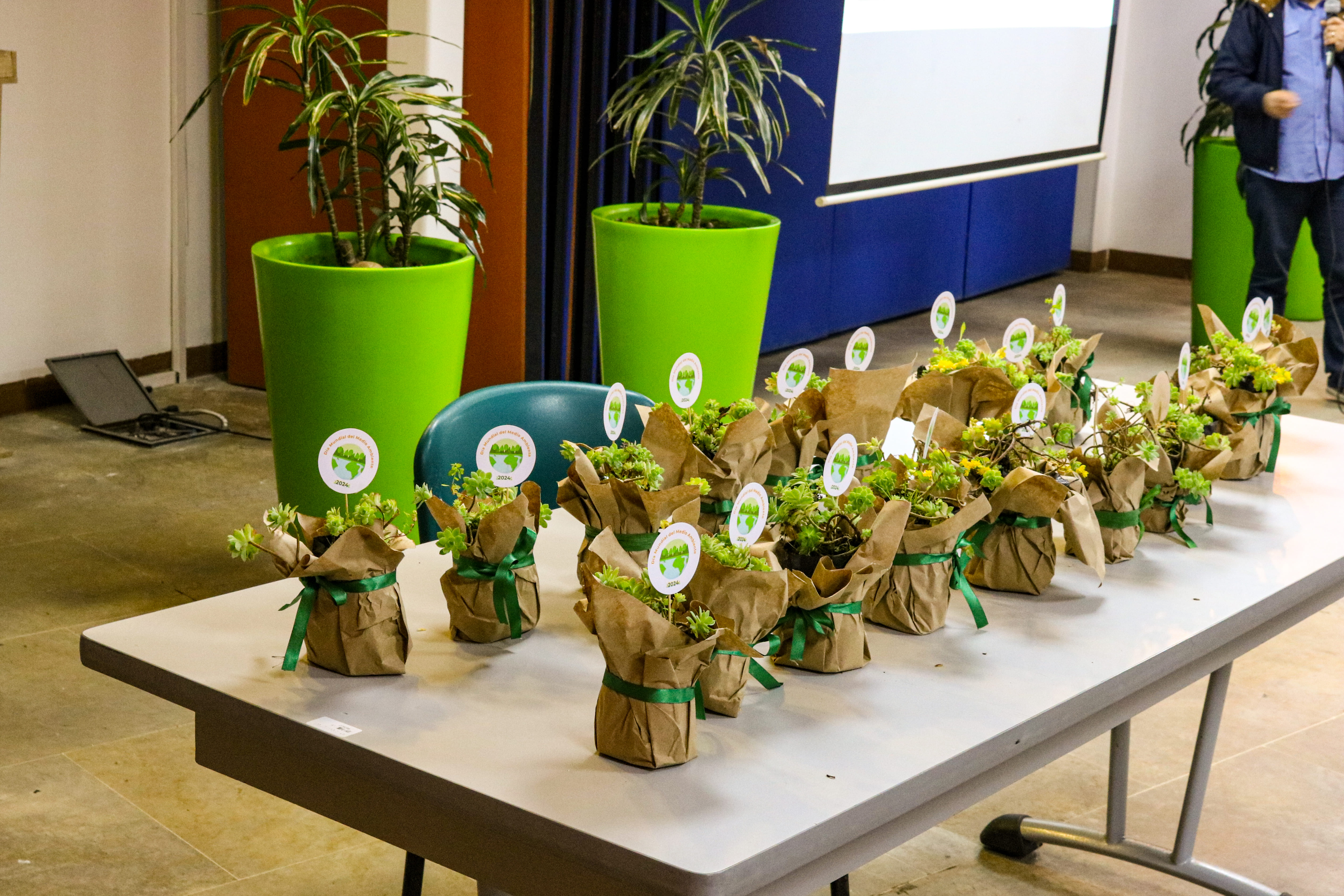 Medio ambiente ENTerritorio