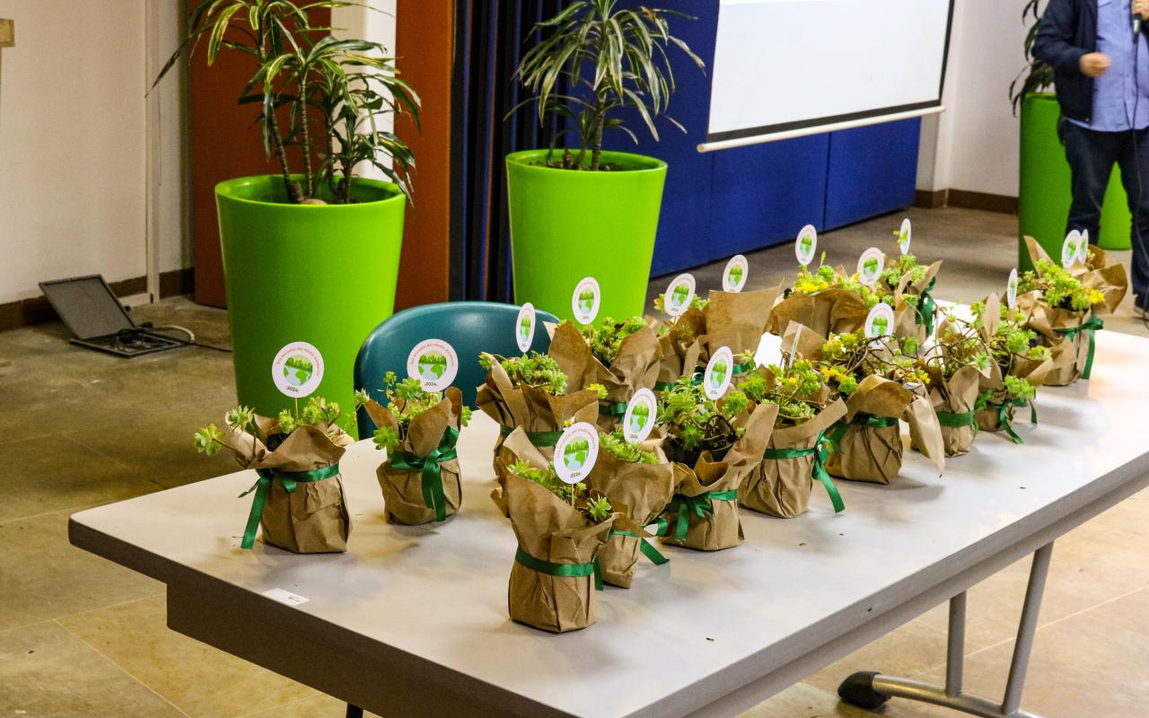 Medio ambiente ENTerritorio