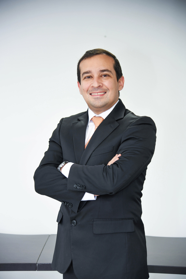 Subgerente de Desarrollo de Proyectos