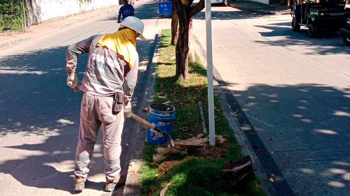 Trabajador en la vía