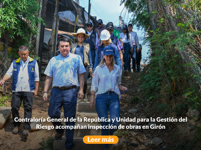 Banner Girón