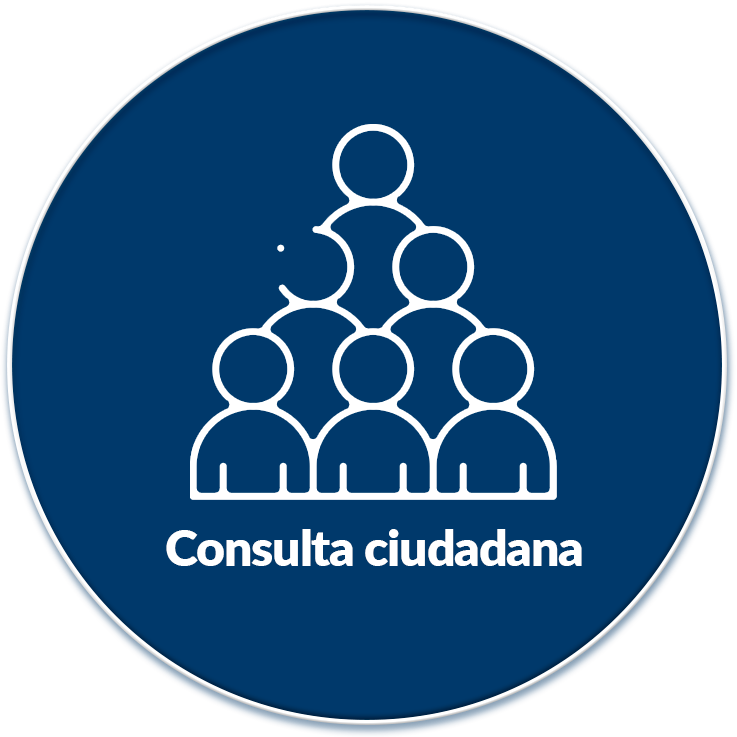 Consulta ciudadana