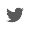 Icono Twitter