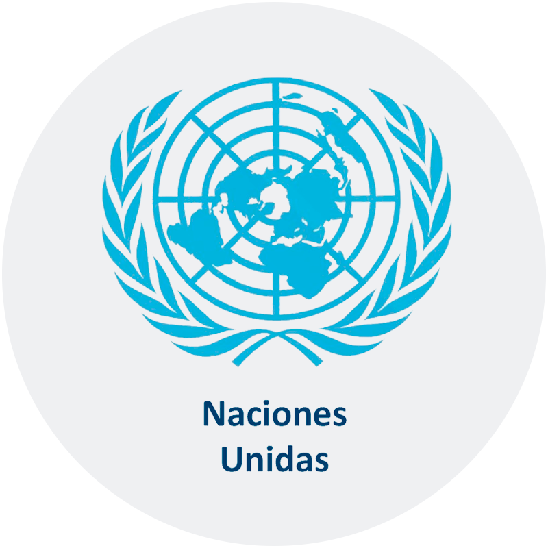 Logo Naciones Unidas.