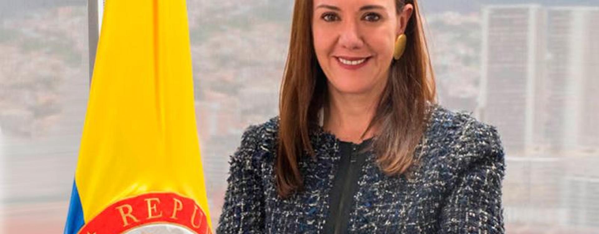 Gerente general EnTerritorio