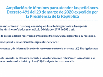 Ampliación de términos Decreto 491