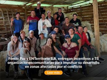 Banner móvil sobre el Fondo de Paz.