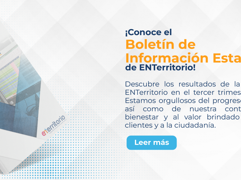 Banner boletín estadístico ENTerritorio