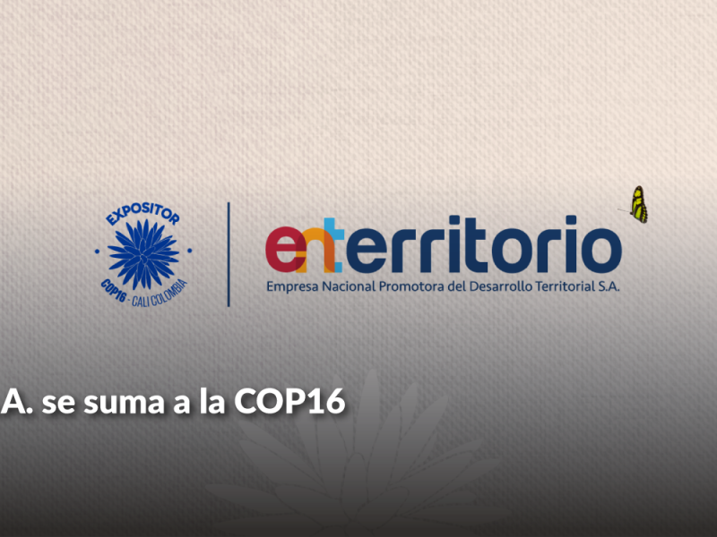 Banner COP